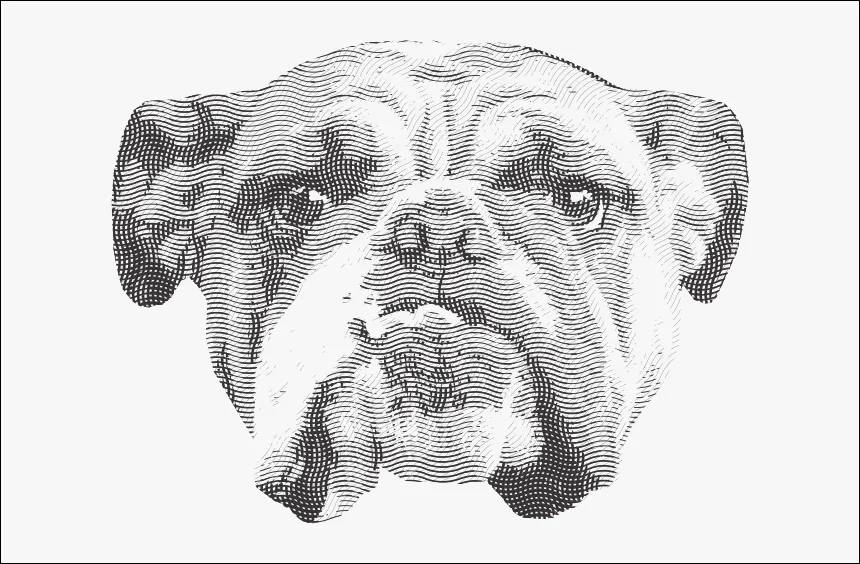 Kelebihan & Kekurangan Bitmap