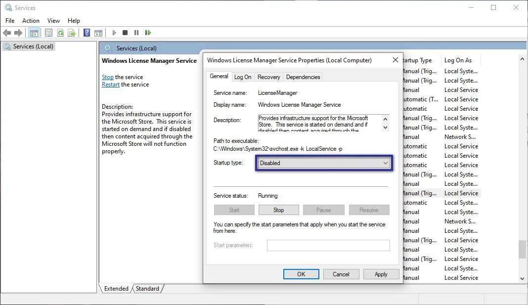 Disable Windows License Manager