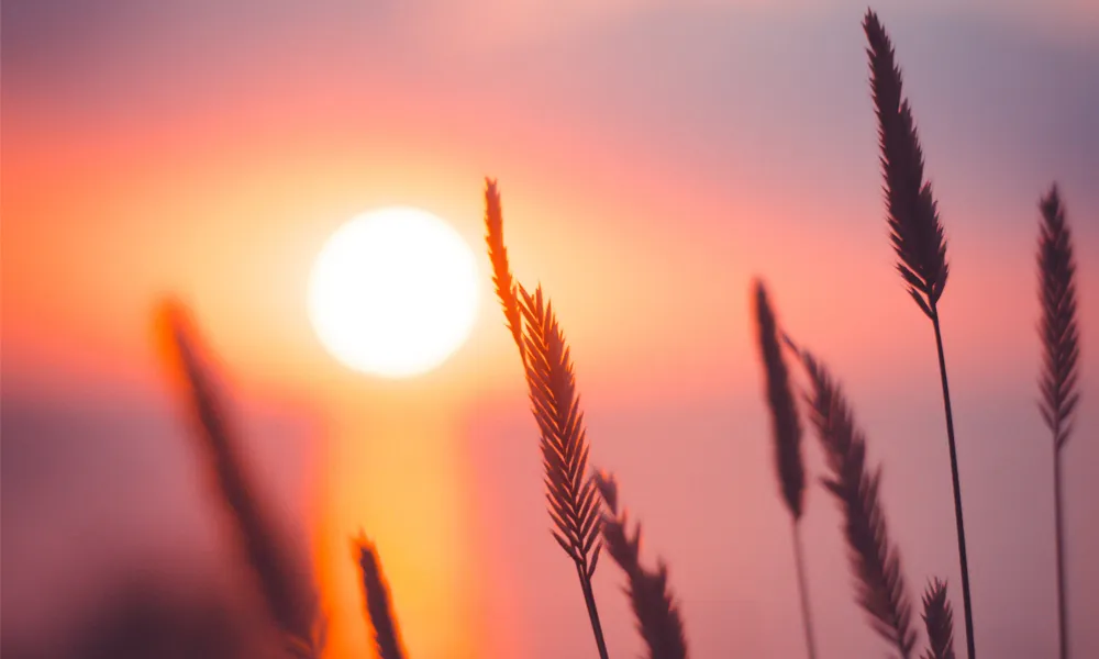 11. Desktop Background Bokeh HD