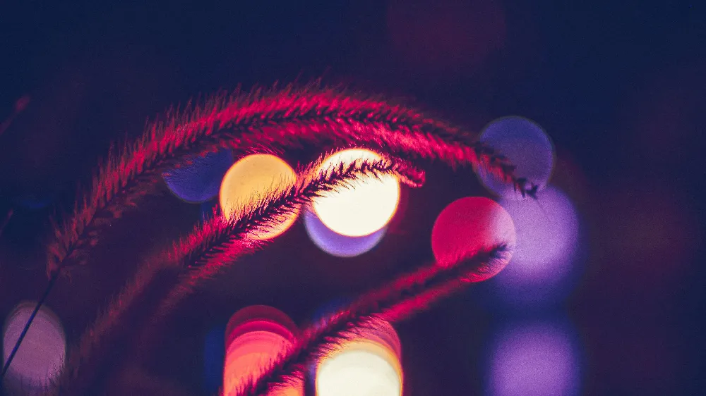 13. Aesthetic Background Bokeh Ultra HD