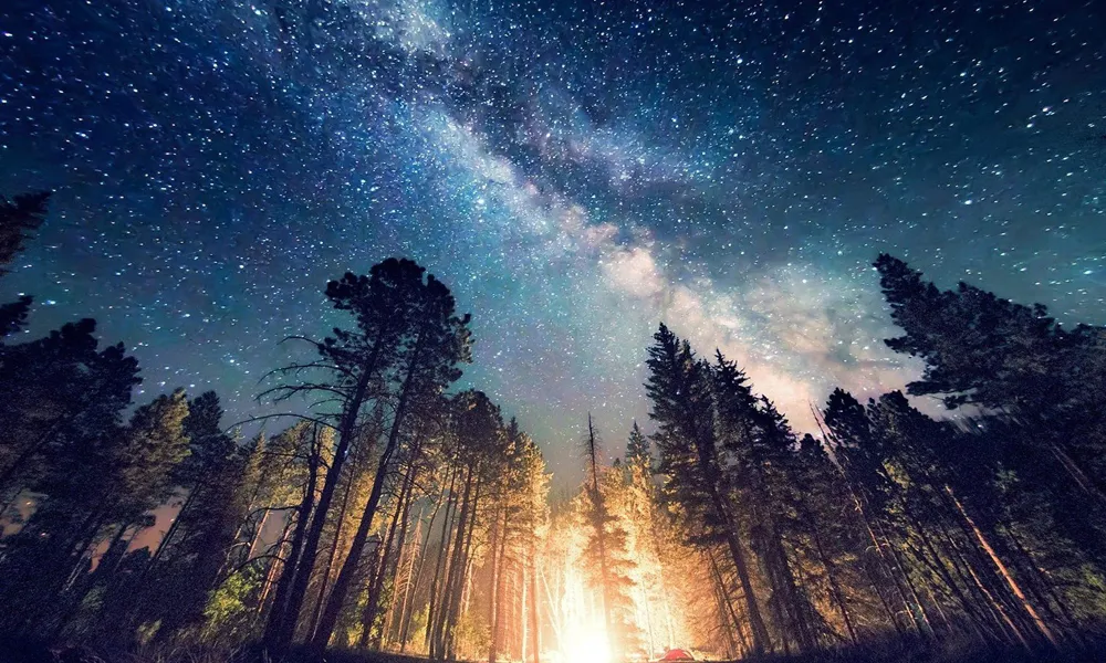 5. Incredible Nature Wallpaper 4K