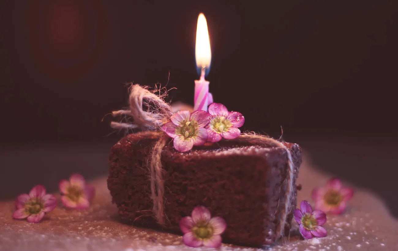 Arti Wish You All The Best