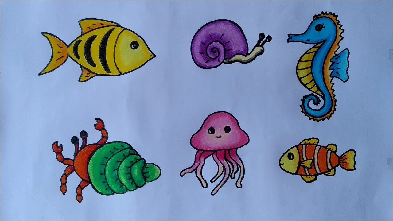 25 Contoh gambar fauna, bermacam-macam hewan yang hidup di laut