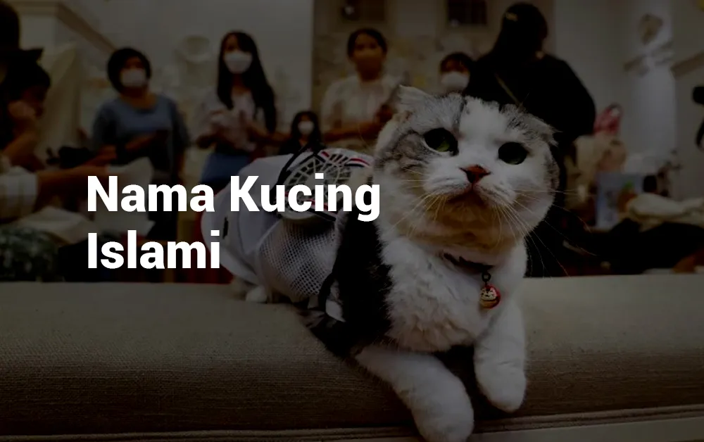 Nama Kucing Islami