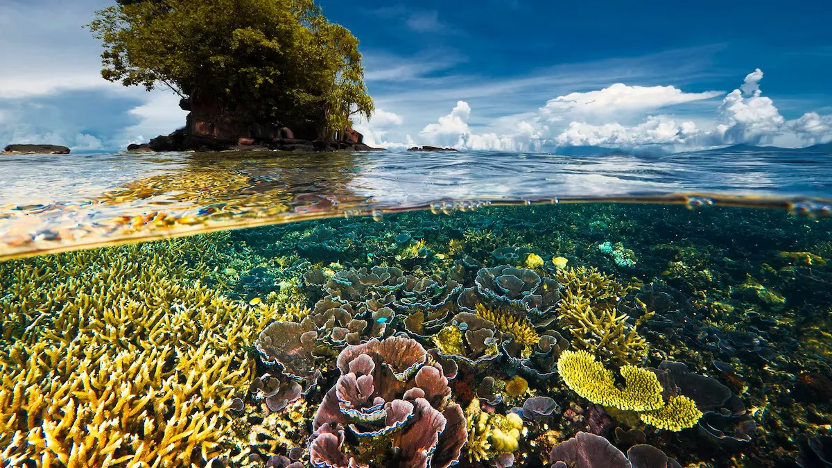 Apa itu Keanekaragaman Hayati