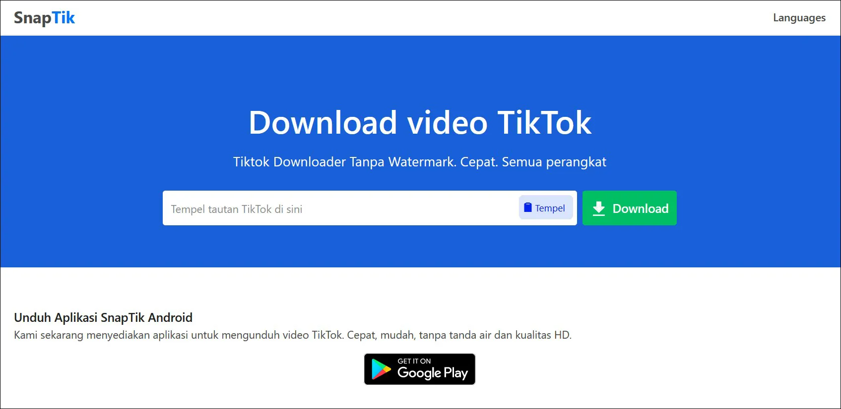Download Video TikTok via SnapTik App