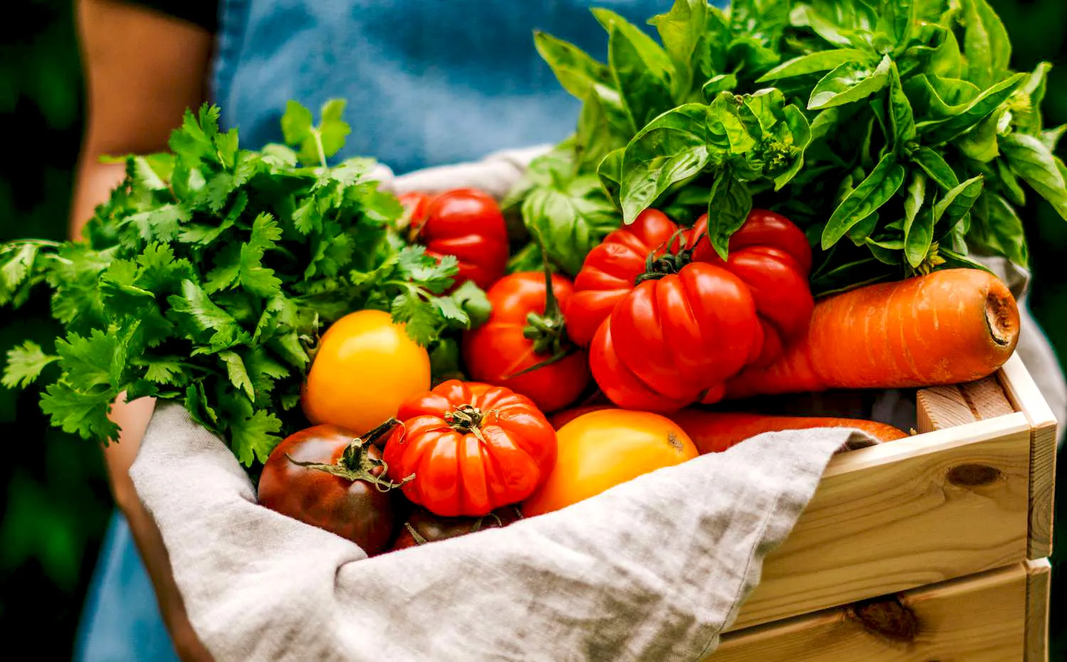 Manfaat Konsumsi Sayuran