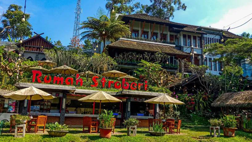 Rumah Stroberi