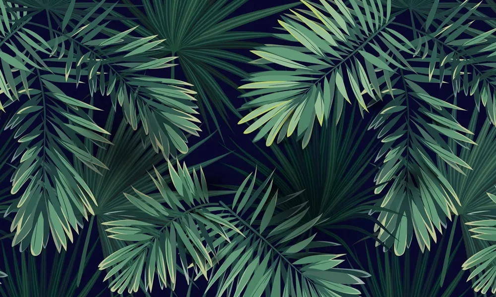 1 Leaf Background Minimalis