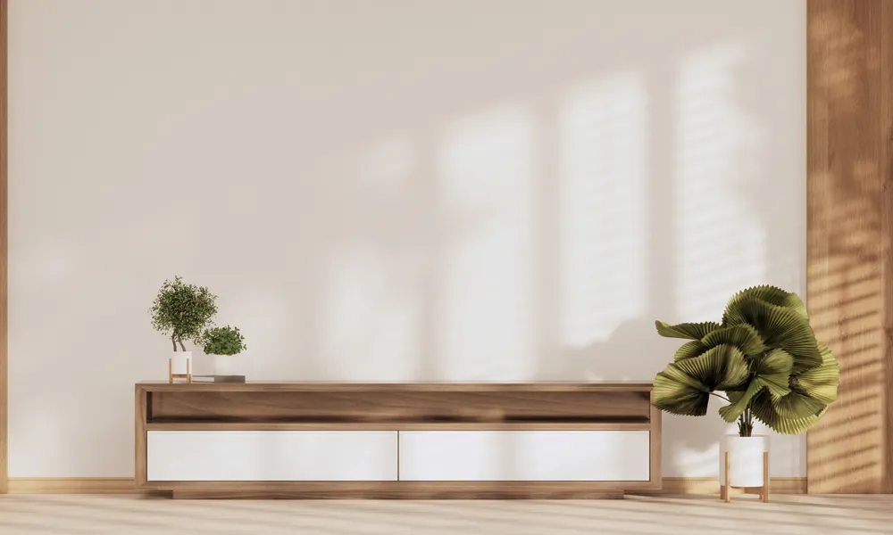14 Japan Room Minimal for TV Interior