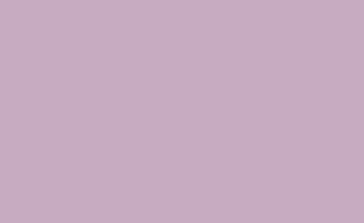 21. Lilac Gray