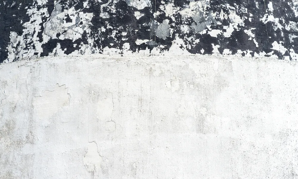 9 Background White Texture