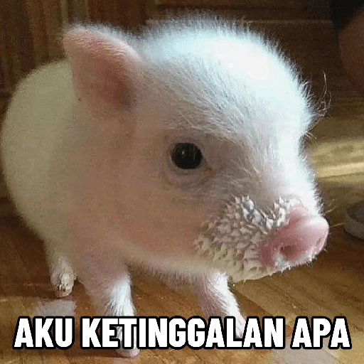 Stiker Babi Berbagai Ekspresi 3
