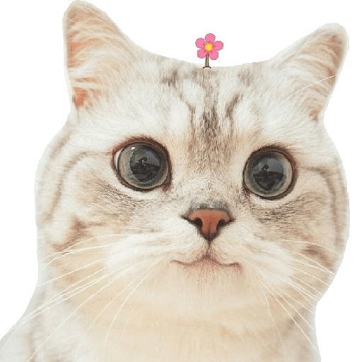 Stiker Kucing Lucu 1