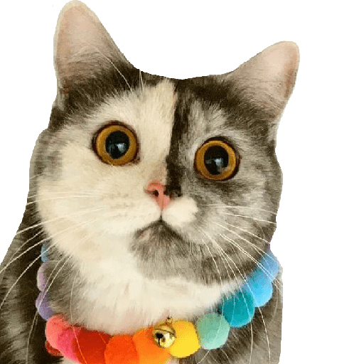 Stiker Kucing Lucu 2