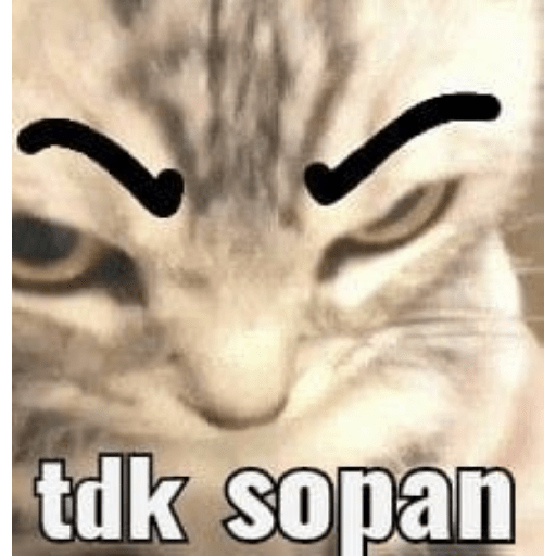 Stiker Meme Lucu Indo 1