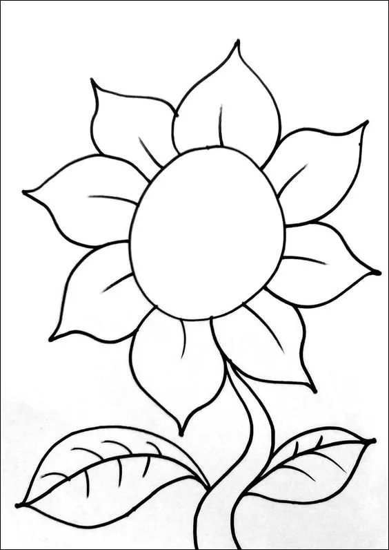 17 Gambar bunga matahari sederhana, mudah diikuti untuk belajar menggambar dan mewarnai