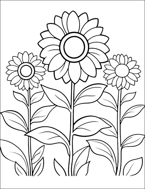 7 Sketsa bunga matahari yang bermekaran, untuk menggambar dan mewarnai