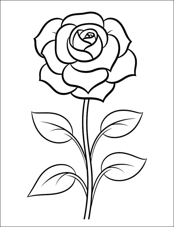 9 Menggambar setangkai bunga mawar, mudah diwarnai