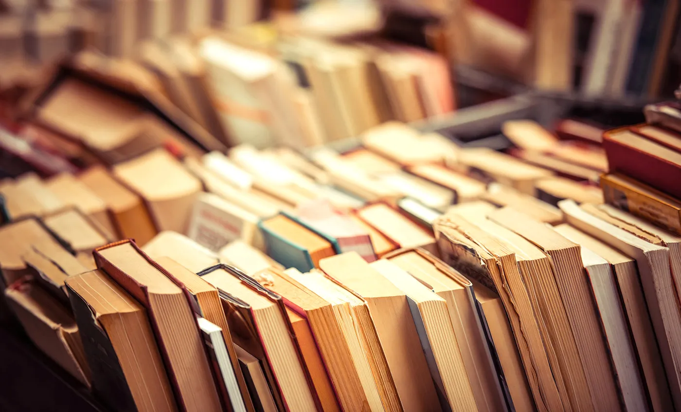 Jenis-Jenis Majas Metafora