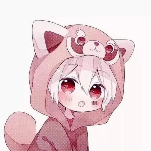 5 PP Anime Jaket Lucu