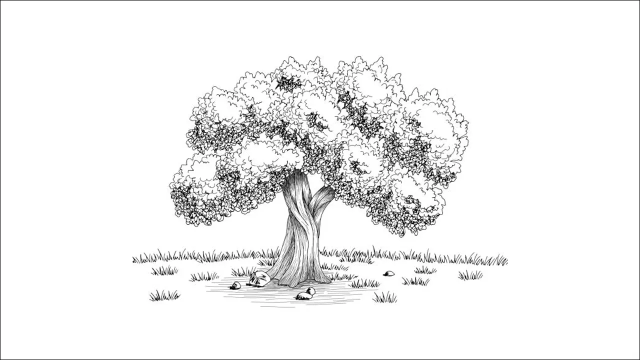 Contoh Tes Menggambar Pohon