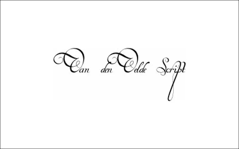 29. Van Den Velder Script