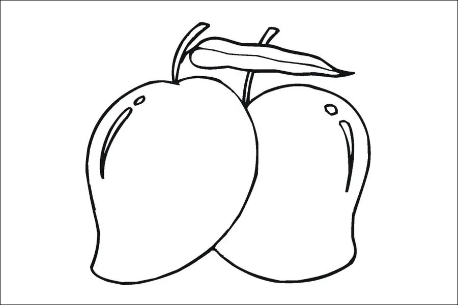 Gambar 05. Mewarnai sketsa Buah Mangga Manis
