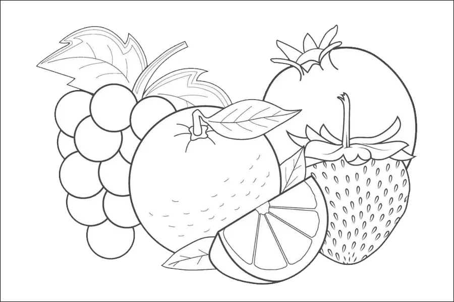 Gambar 12. Sketsa Gambar Aneka Macam Buah