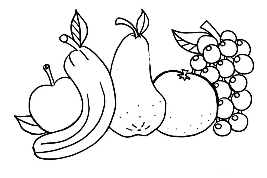 Gambar 18. Sketsa Aneka Macam Buah-buahan