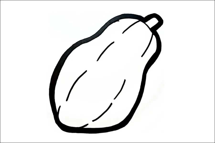 Gambar 19. Mewarnai Buah Pepaya