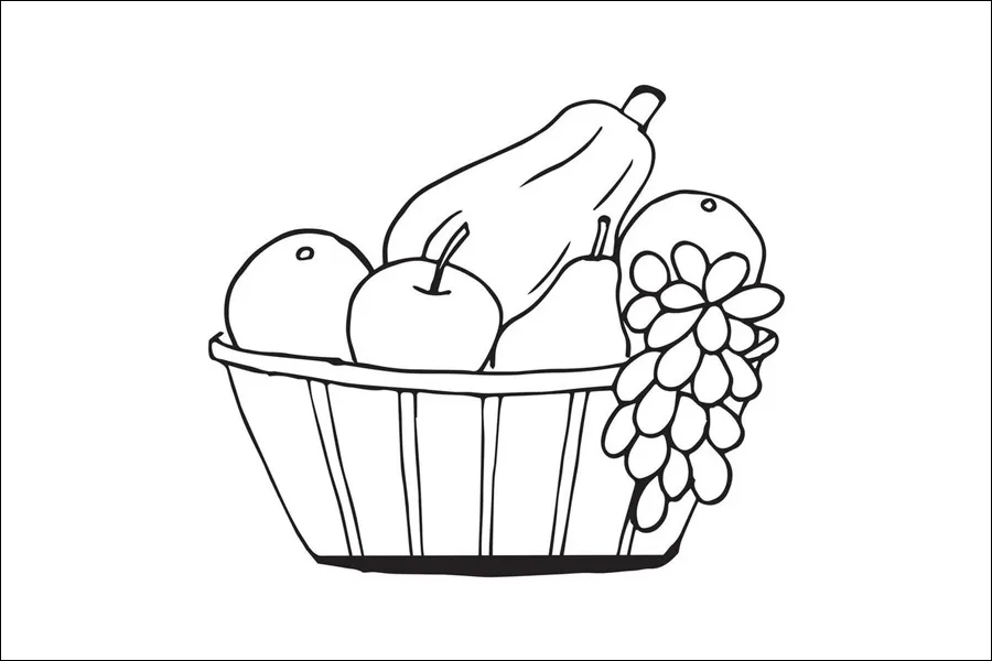 Gambar 25. Sketsa Satu Wadah Aneka Macam Buah