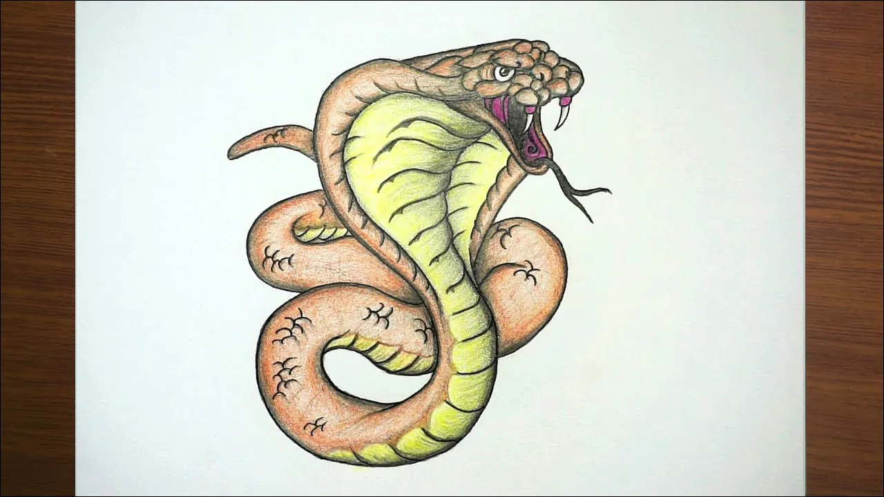 Gambar 25. Ular Kobra