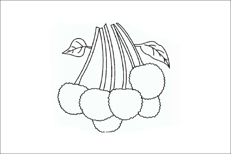 Gambar 30. Mewarnai Buah Leci