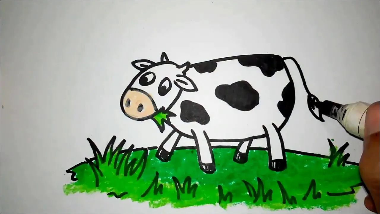 Gambar 30. Sapi makan rumput