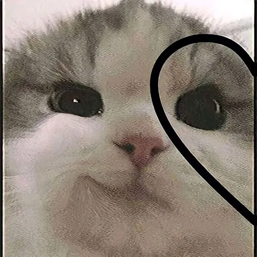 Gambar 03. PP Kucing Couple Terpisah Aesthetic love sign (1)