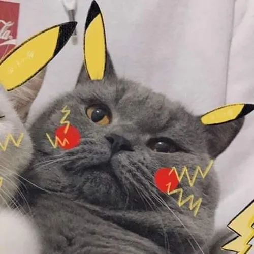 Gambar 06. PP Kucing Couple Terpisah Aesthetic pokemon (2)