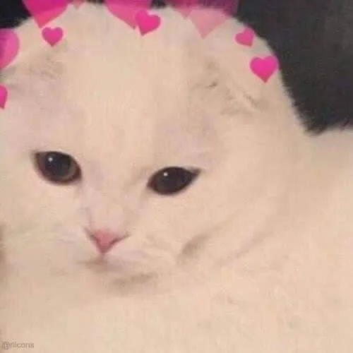 Gambar 08. PP Kucing Couple Terpisah Aesthetic dengan hiasan love (2)