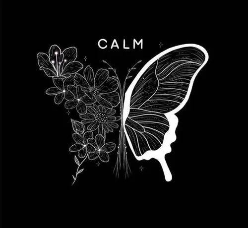 Gambar 10. PP Hitam Polos Aesthetic kupu-kupu dan bunga