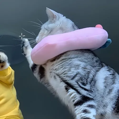 Gambar 14. PP Kucing Couple Terpisah Aesthetic bermain-main (2)