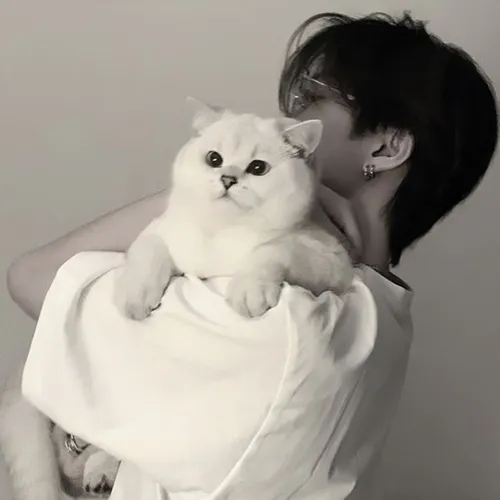 Gambar 15. PP WA Sendiri Aesthetic cowok gendong kucing