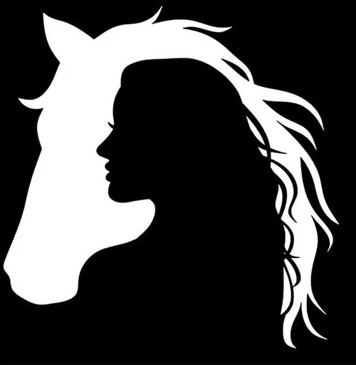 Gambar 20. PP Hitam Polos Keren siluet cewek dan kuda