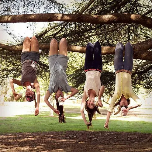 Gambar 24. PP (Foto Profil) Grup Gokil gantung di pohon