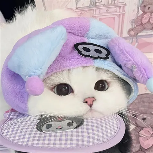 Gambar 45. PP Kucing Couple Terpisah Lucu dengan kostum ungu (1)