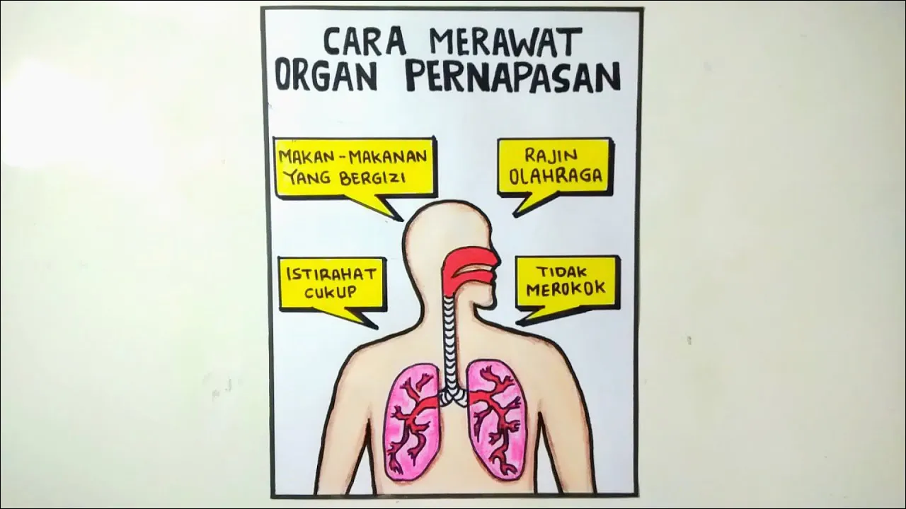 Gambar 19. Poster Cara Merawat Kesehatan Organ Pernafasan