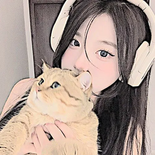 Gambar 11. PP WA Korea Lucu Cewek Kucing