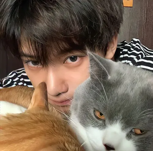Gambar 24. PP WA Korea Lucu Cowok Selfie dengan Kucing
