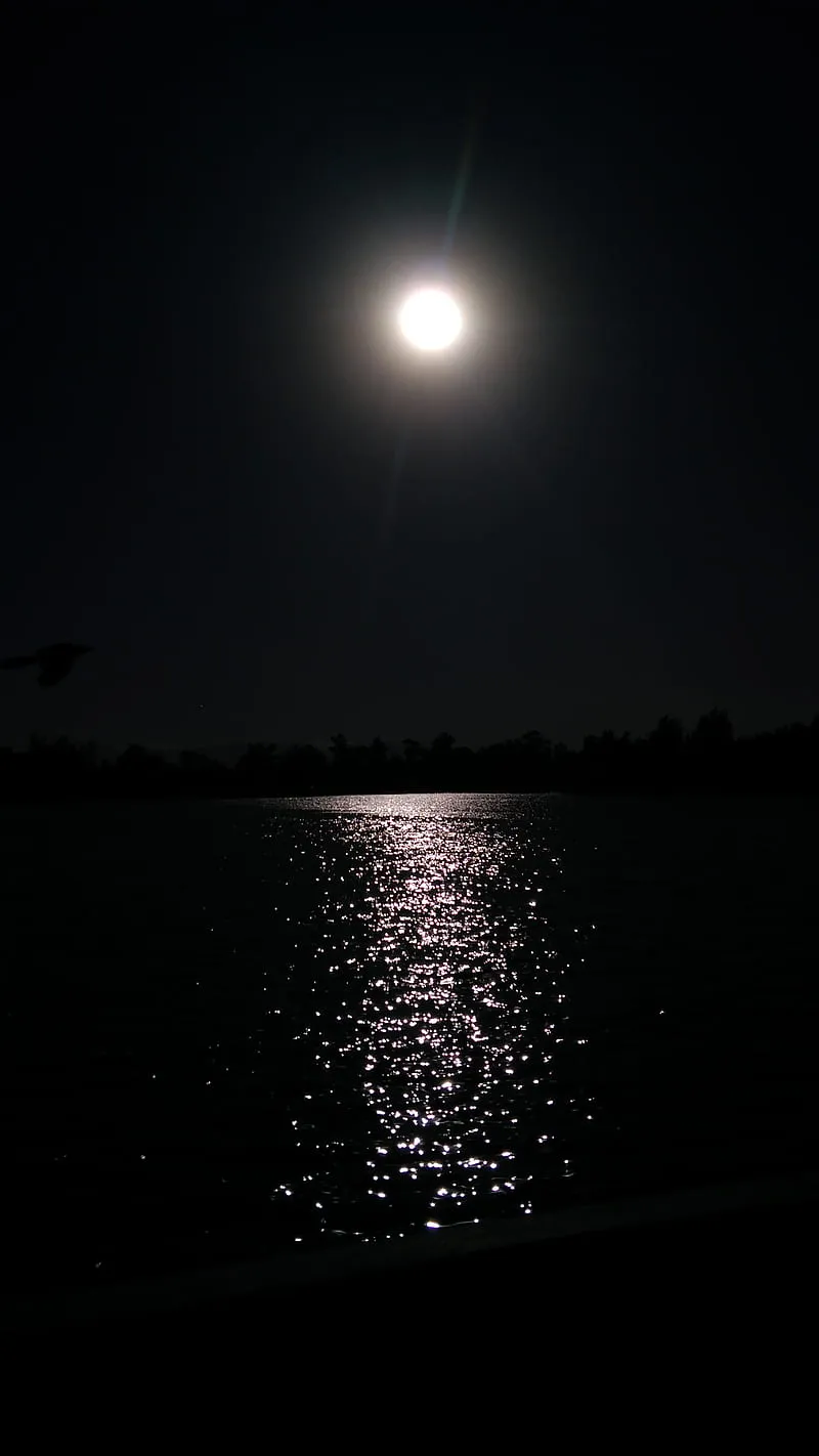 Gambar 20. Dark beach and shining moon