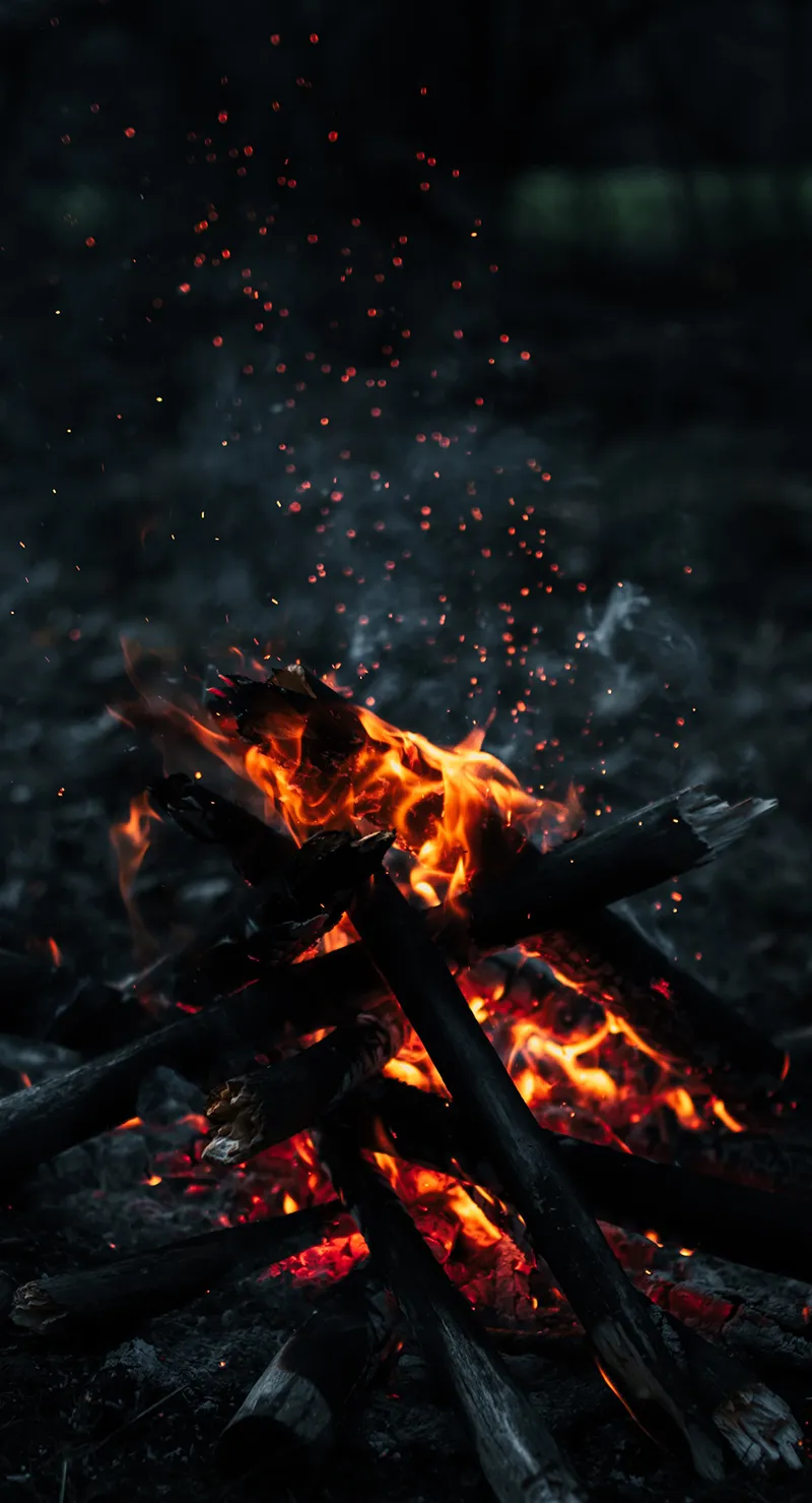 Gambar 02. Api Unggun