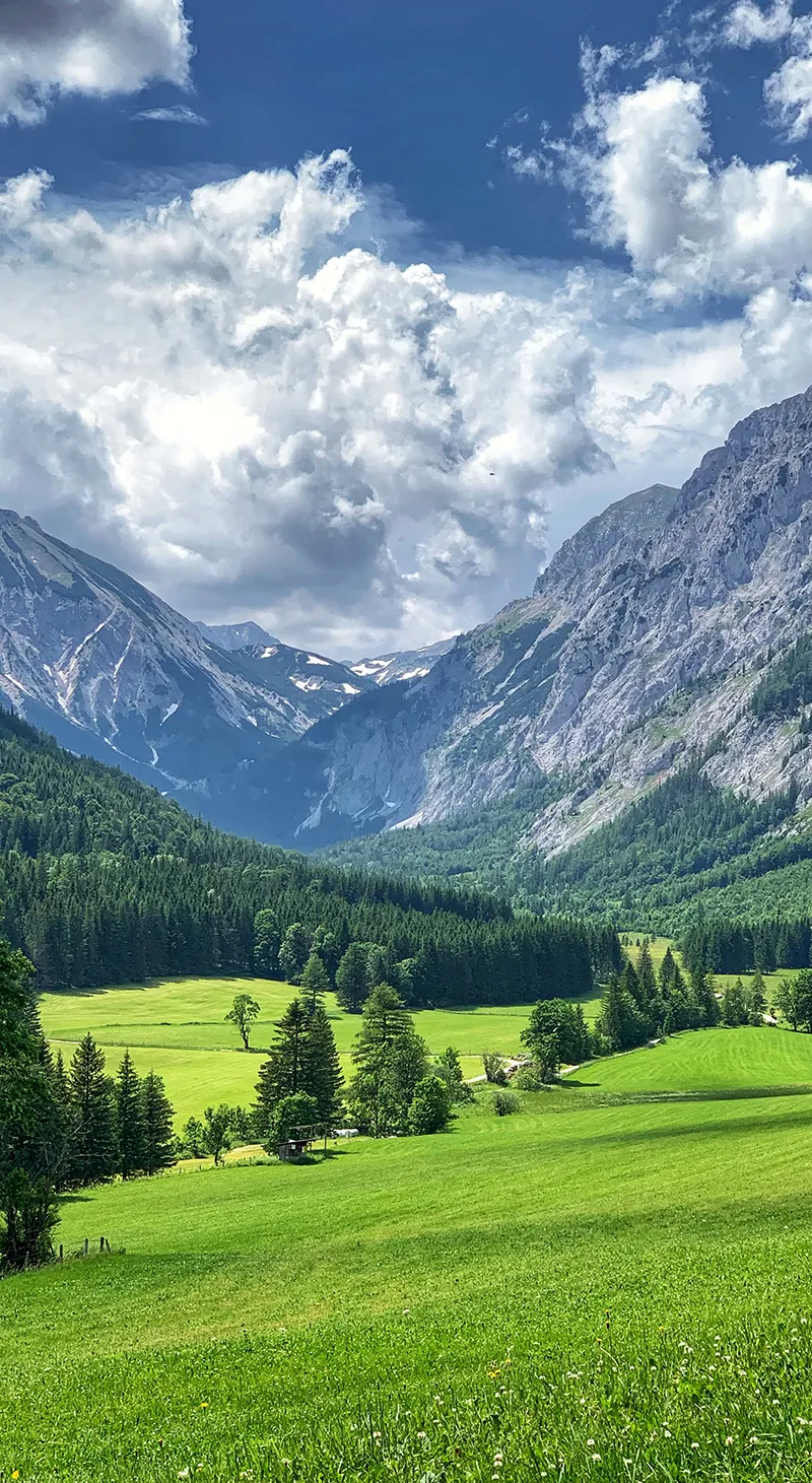 Gambar 02. Pemandangan Gunung dan Hutan